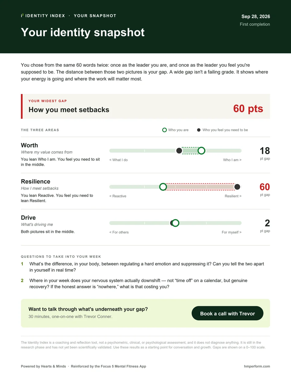 Preview of an anonymous Identity Index result with Worth, Resilience, and Drive